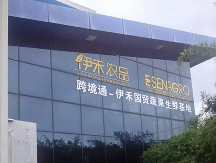 上海伊禾农品跨境电商大型蔬果生鲜冷库工程