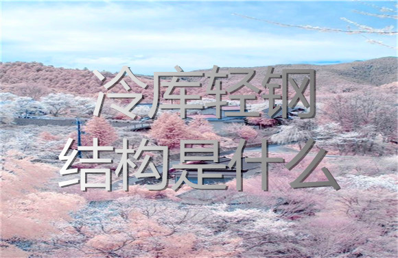 冷库轻钢结构是什么.jpg
