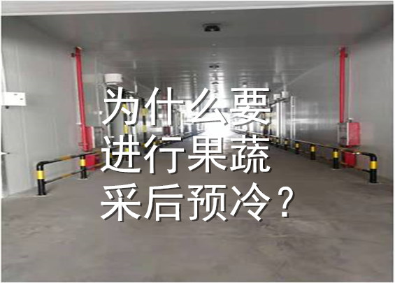 为什么要进行果蔬采后预冷？.jpg