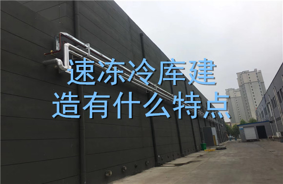 速冻冷库建造有什么特点.jpg
