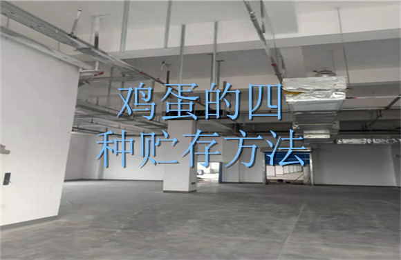 鸡蛋的四种贮存方法.jpg