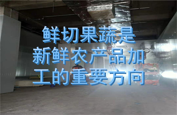 鲜切果蔬是新农产品加工重要方向.jpg