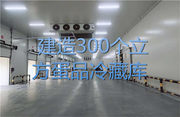 建造300个立方蛋品冷藏库.jpg