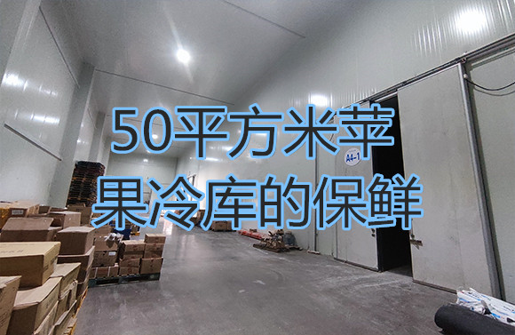 50平方米苹果冷库的保鲜.jpg