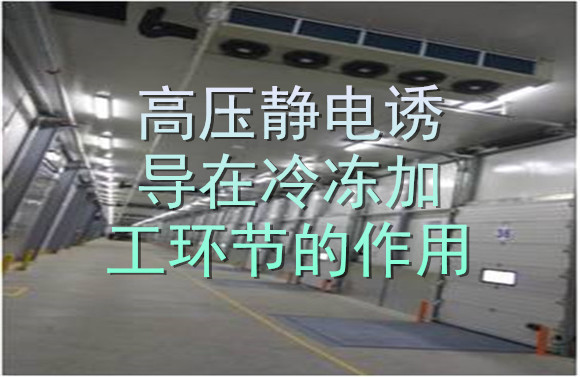 高压静电诱导在冷冻加工环节的作用.jpg