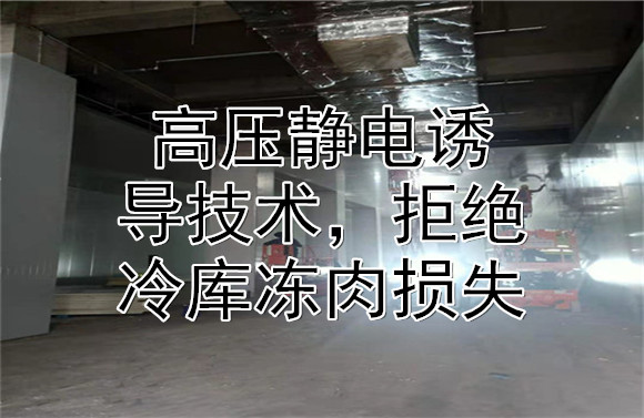 高压静电诱导技术，拒绝冷库冻肉损失.jpg