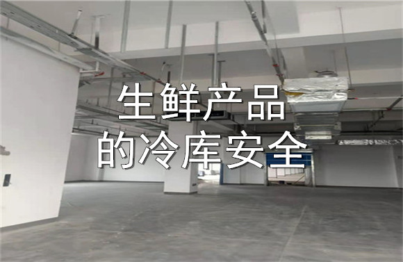 生鲜产品的冷库安全.jpg