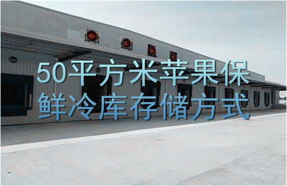 50平方米苹果保鲜冷库存储方式.jpg