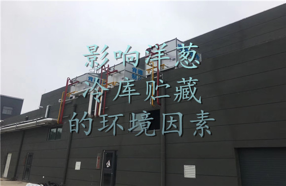影响洋葱冷库贮藏的环境因素.jpg