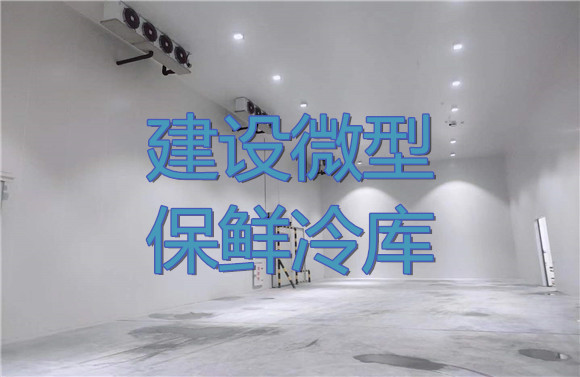 建设微型保鲜冷库.jpg