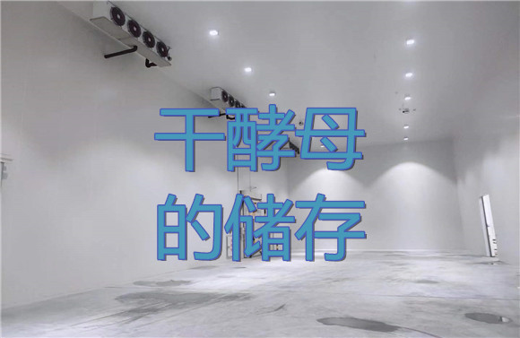 干酵母的储存.jpg